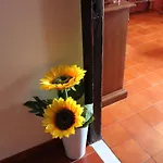 Da Mari * Poggio (Lucca)
