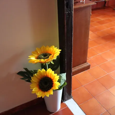Da Mari * Poggio (Lucca)